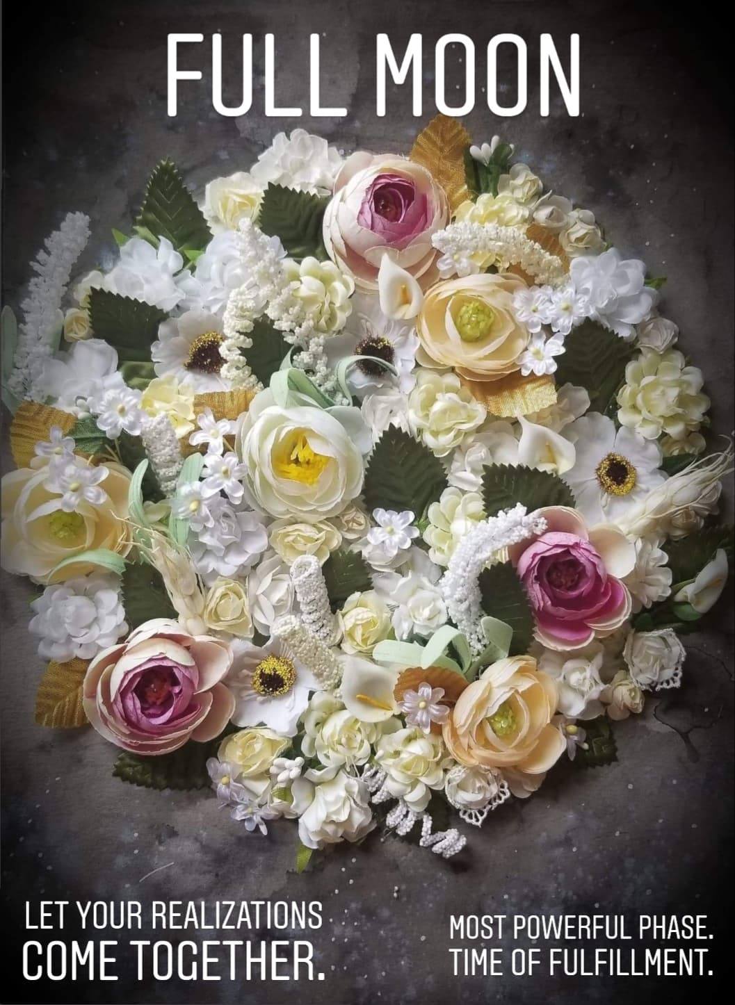 54728906_372298510278323_5419570389007204352_n